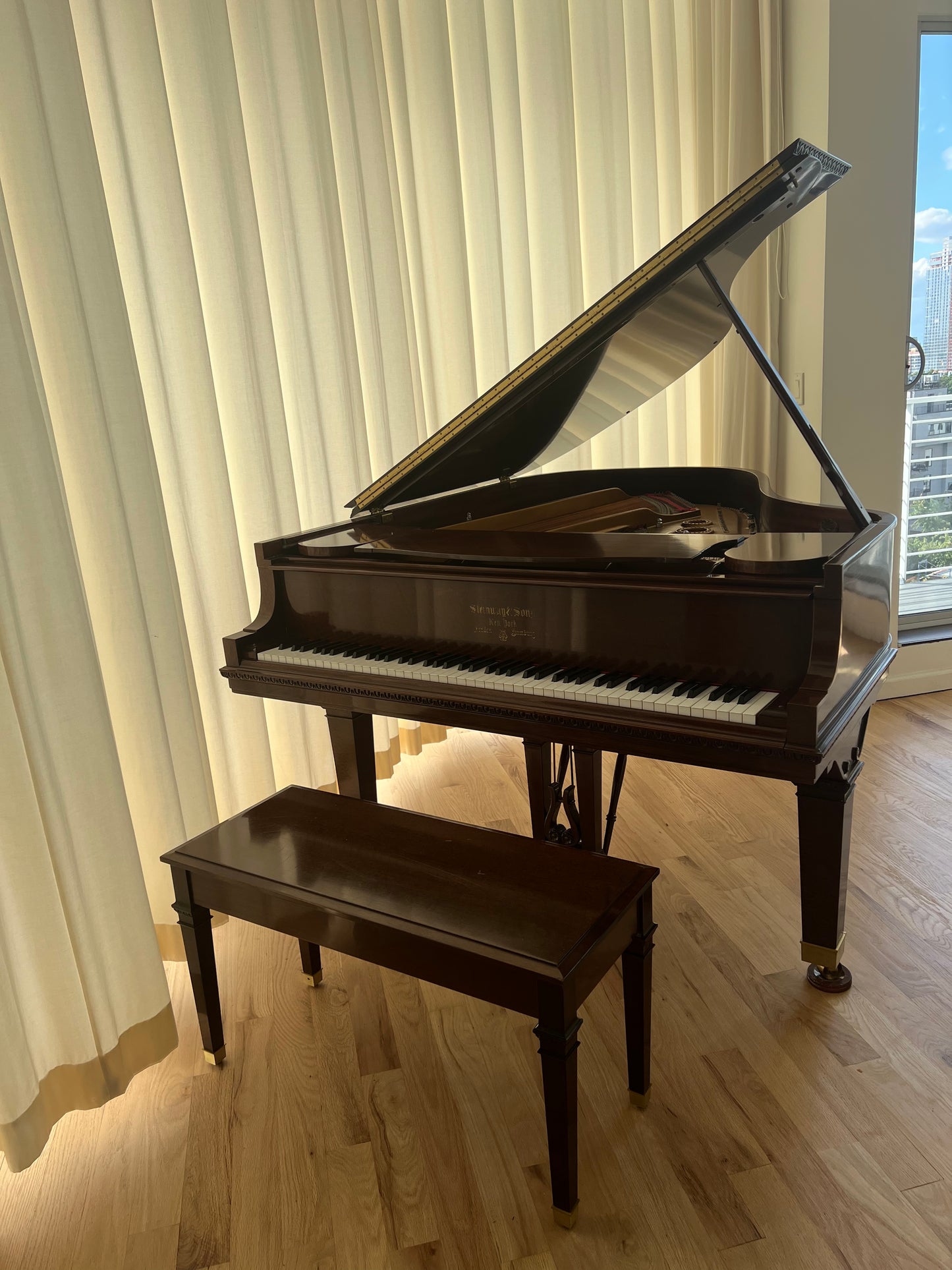 2000 Tiffany Steinway Limited Edition Grand Piano Model L | African Pommele