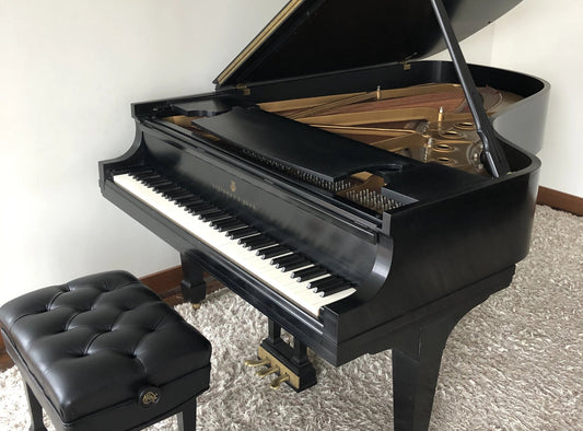 Steinway Model B Grand Piano | New York City