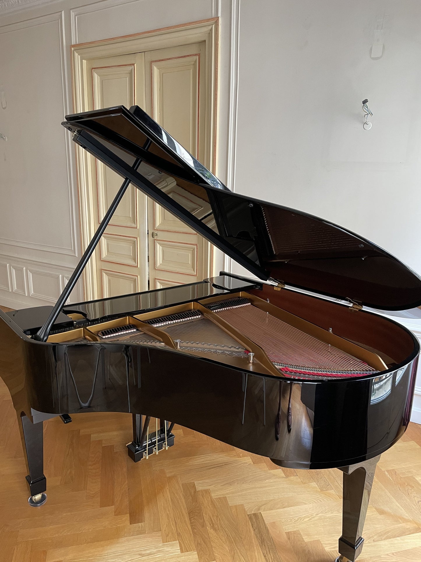 2010 Hamburg Steinway Grand Piano Model M | Ebony