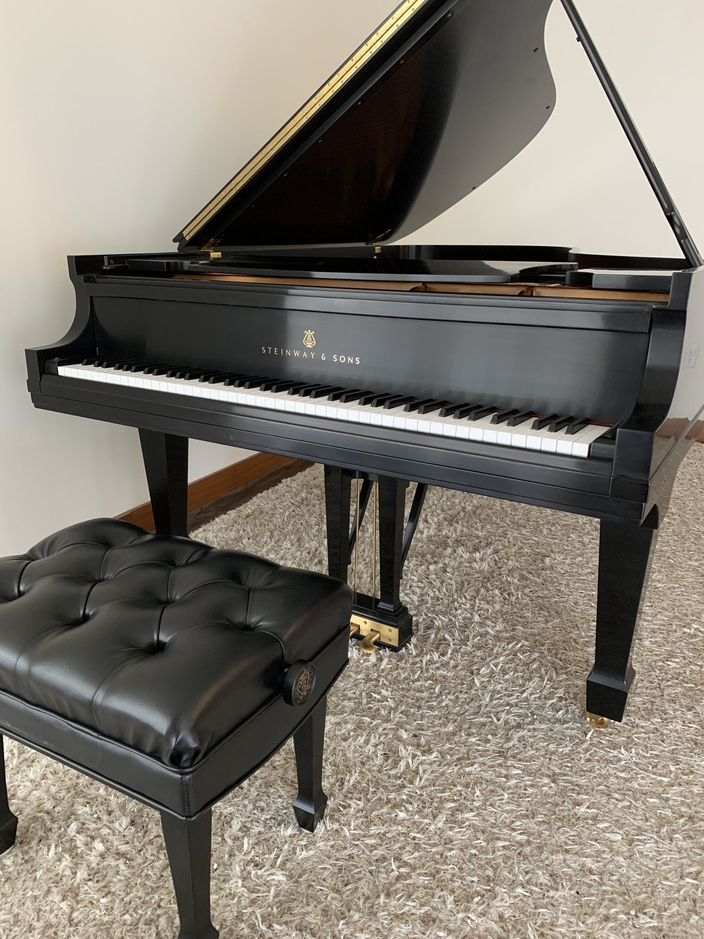 Used Steinway Model B Piano Anniversary Edition 2003, Purchased New in 2004