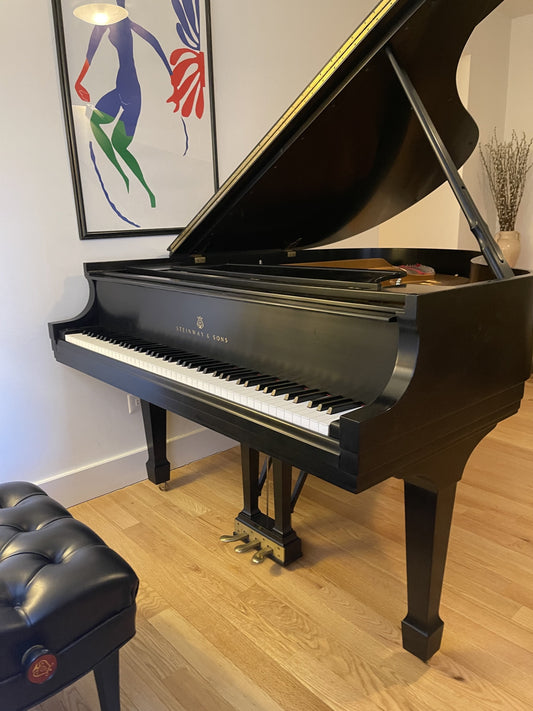 1994 Steinway Grand Piano Model M | Ebony