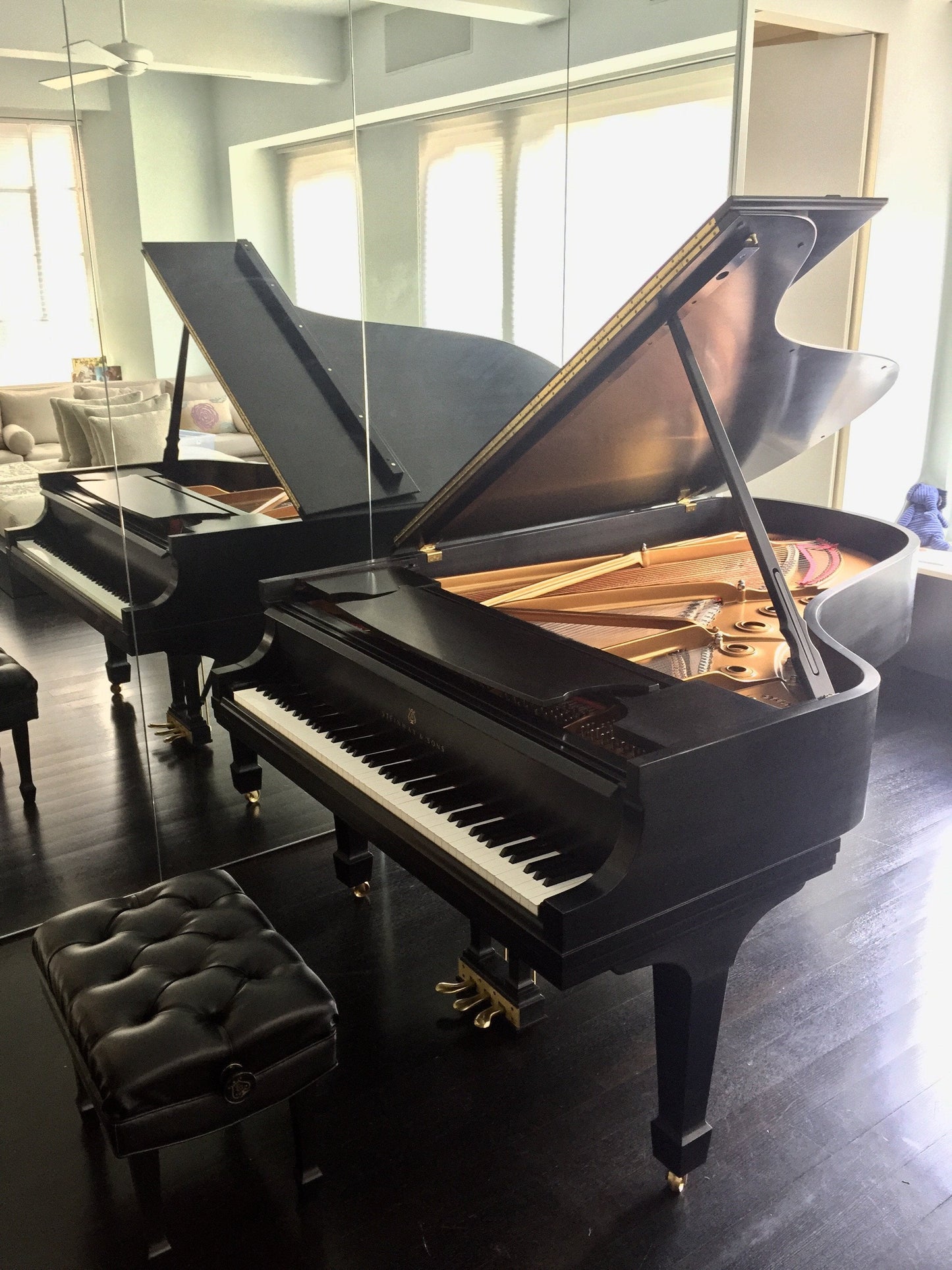 2003 Steinway Grand Piano Model B | Ebony