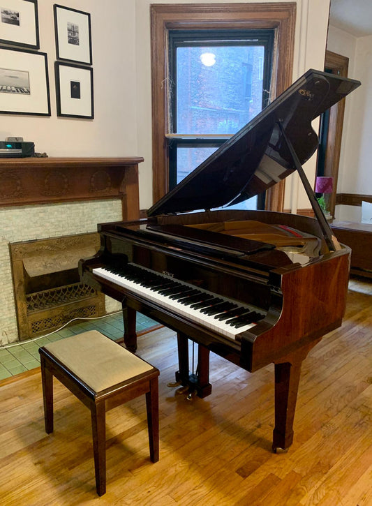 Petrof Baby Grand Model V | 2002 | New York, NY