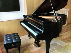 2014 Steinway Model M | Saténový eben2014 Steinway Model M | Saténový eben  