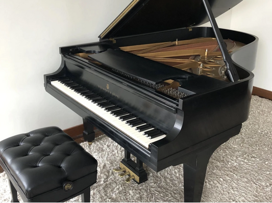 1976 Steinway Model B Grand Piano | New York City